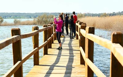 Volonterska akcija na Vranskom jezeru – Pomozi obnoviti livadu!!!