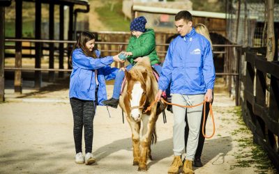 Konjički klub KOLAN – Volonterski rad u terapijama pomoću konja